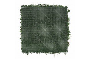 vente de mur végétal exotique