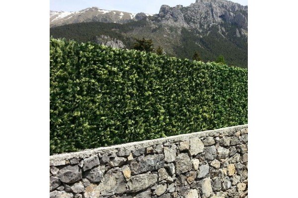 Acheter du feuillage artificiel à Martigues