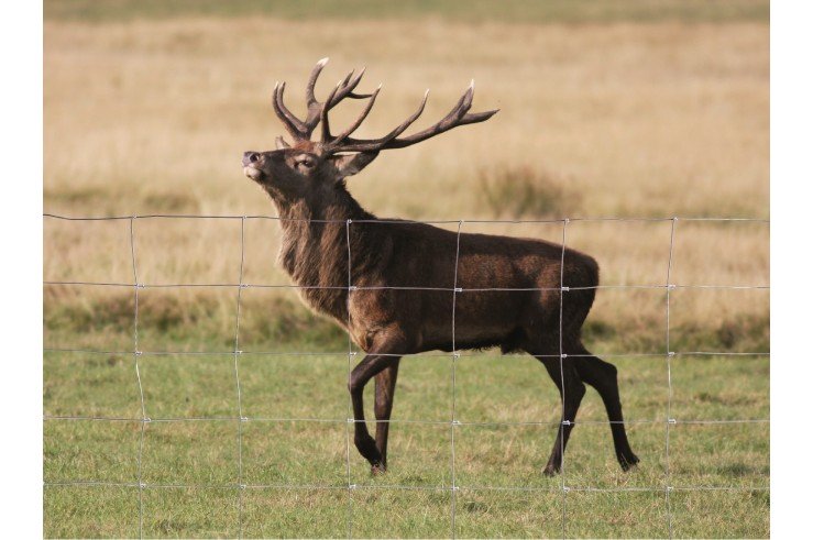 Où trouver du grillage noué pour moutons Où trouver du grillage noué pour moutons