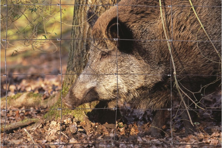 Rouleau de grillage noué de... Rouleau de grillage noué de...