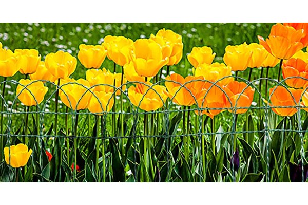 bordure de jardin en grillage