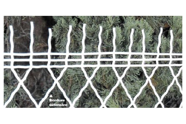 Bordure parisienne défensive