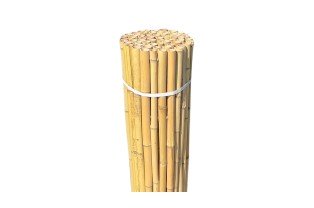 Canisse bambou ronds...