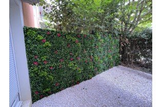 vente de mur végétal amazone à Martigues