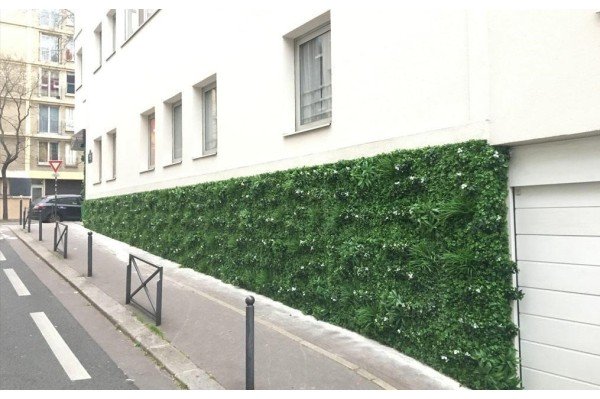 Mur végétal liseron à Aix en provence