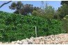 vente de mur végétal intérieur artificiel à Toulon 83