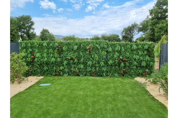 Vente de mur végétal tropical à Carpentras