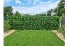 Vente de mur végétal tropical à Carpentras