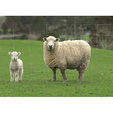 acheter grillage noué pour animaux