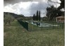 Clôture pour piscine barreaudée verte