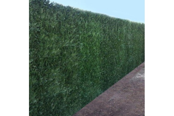 brise-vue feuillage occultant 90 % Aix en Provence