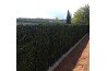 Brise-vue en feuillage artificiel à Paris