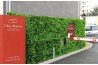 acheter mur végétal artificiel extérieur sans entretien