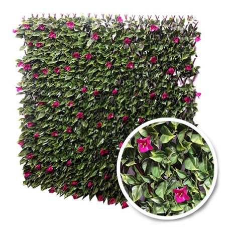 Vente de treillis extensible avec feuilles artificielles à Marseille 13